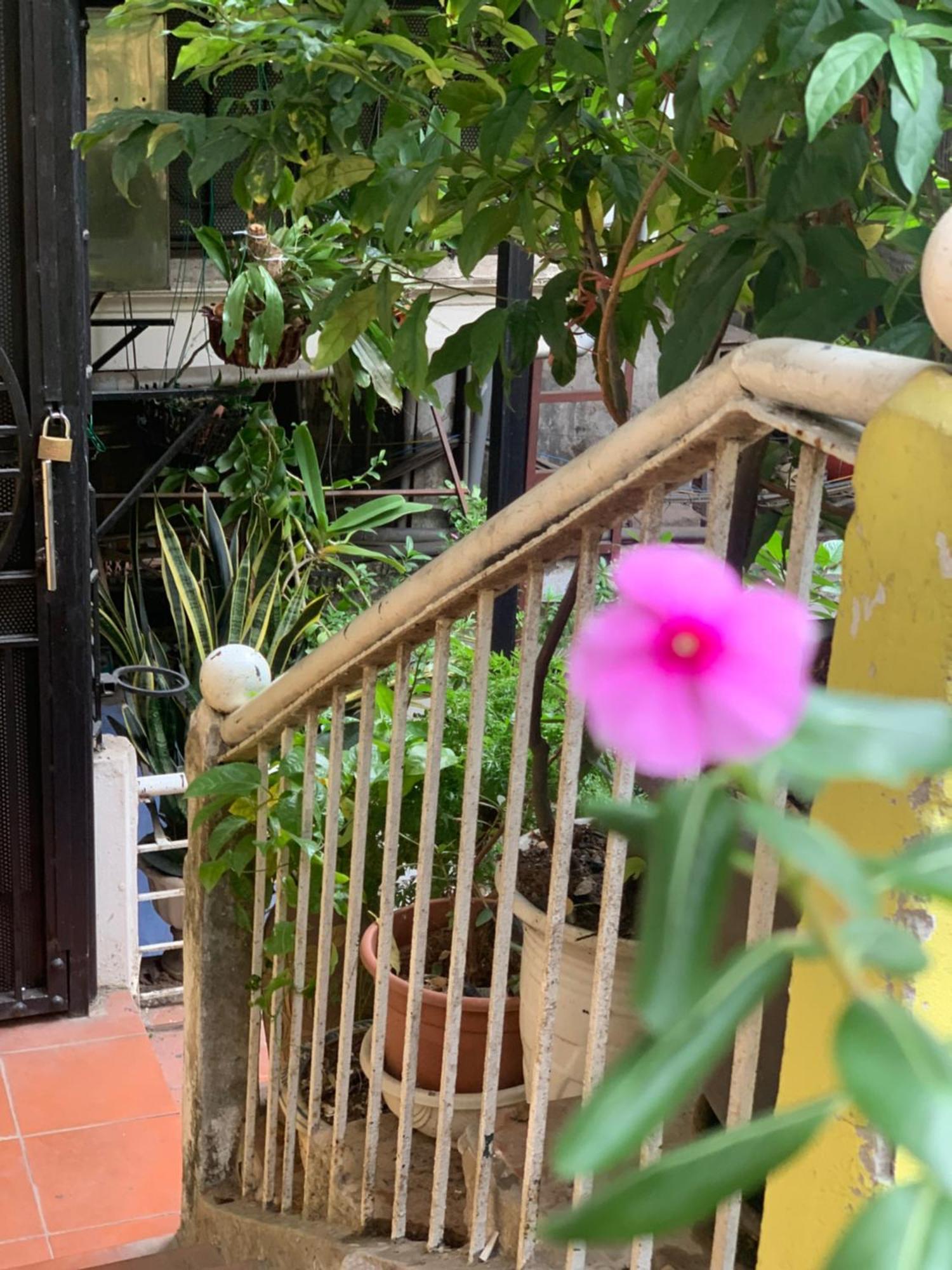 Charmcham House Daire Hanoi Dış mekan fotoğraf