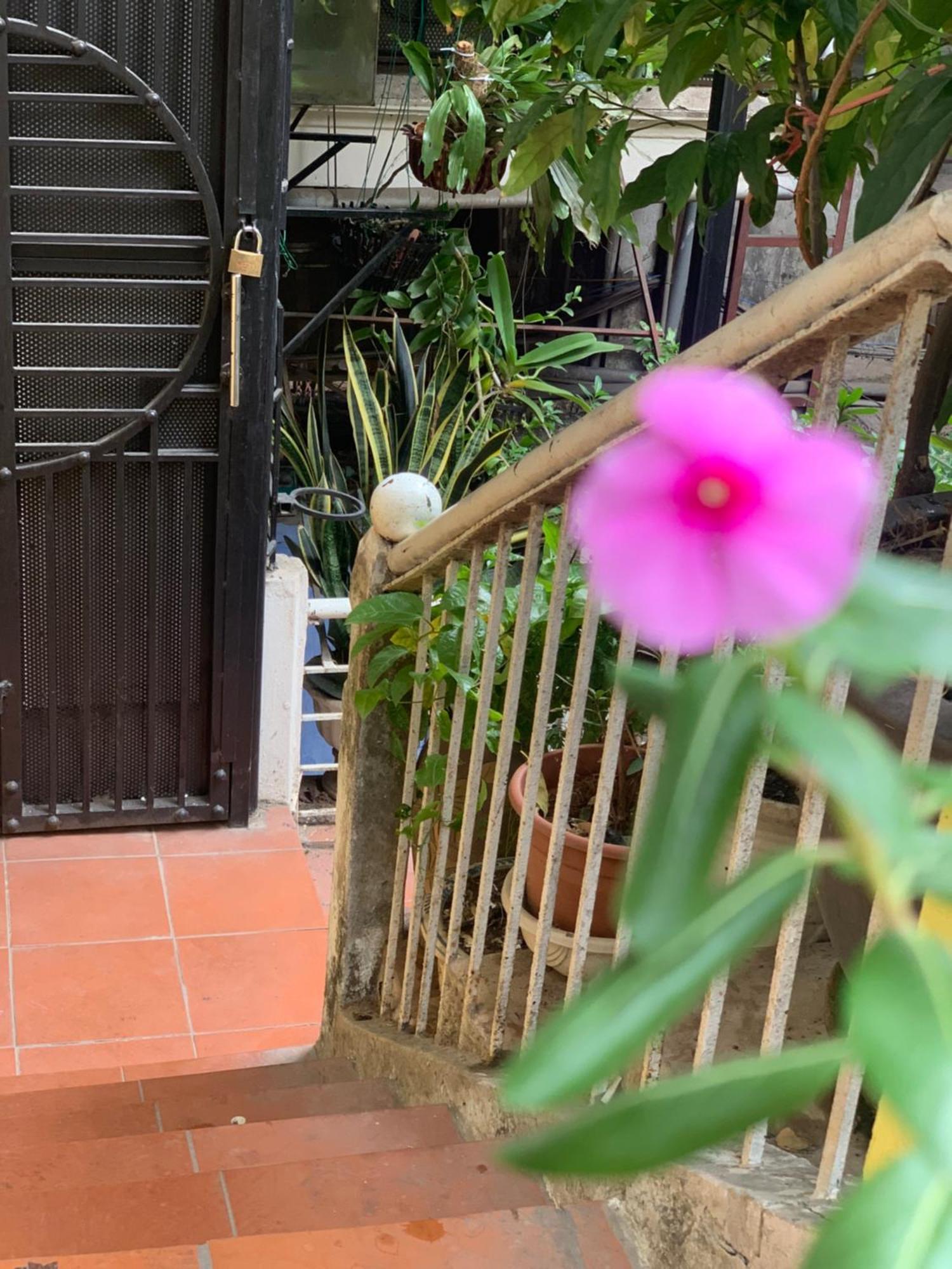 Charmcham House Daire Hanoi Dış mekan fotoğraf